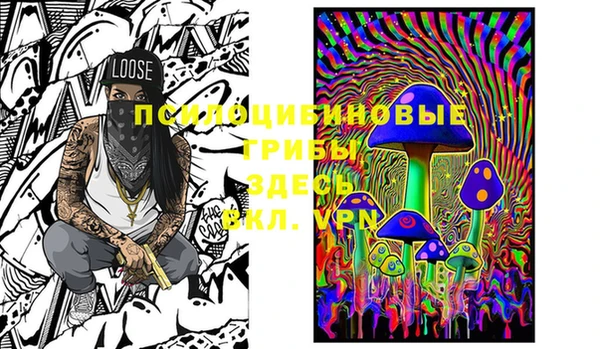 герыч Няндома