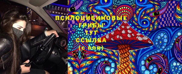 герыч Новозыбков