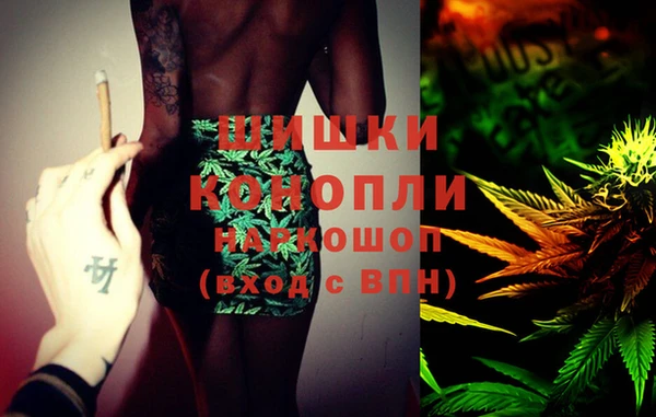 дживик Новодвинск