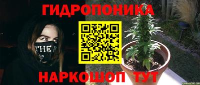 ГАЛЛЮЦИНОГЕННЫЕ ГРИБЫ Гусиноозёрск