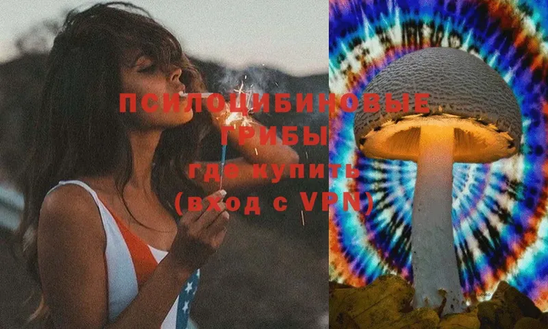 Псилоцибиновые грибы MAGIC MUSHROOMS  Петровск 