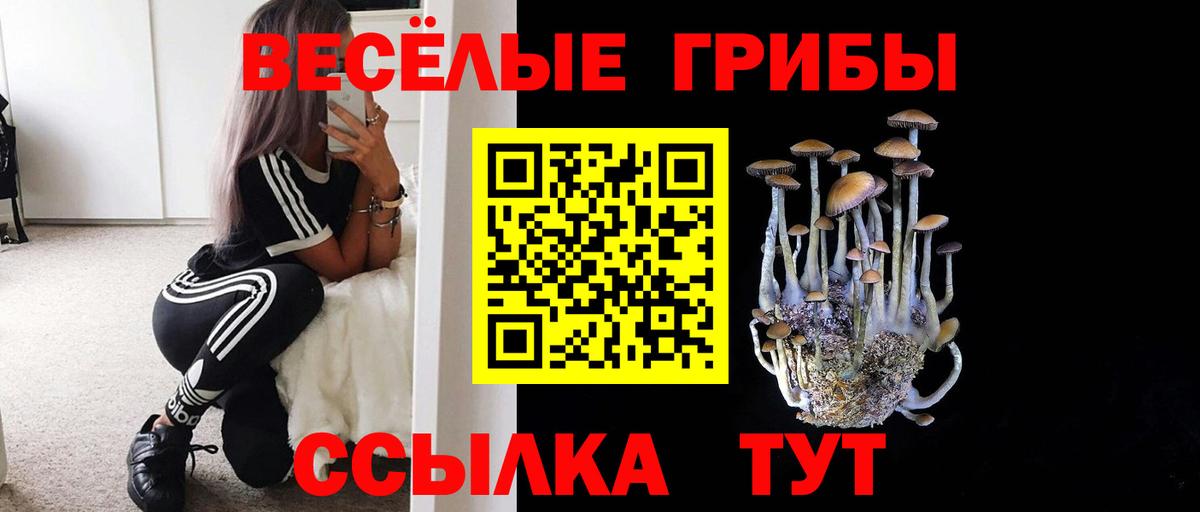 Галлюциногенные грибы Cubensis Петровск